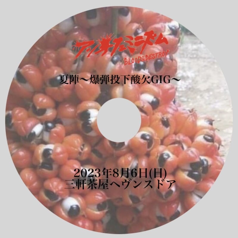 アンチフェミニズム　DVD 2枚　配布CD2 Amazon.co.jp: 2年前の悪夢がよみがえる!~赤いカリスマ血・蛍光灯300本