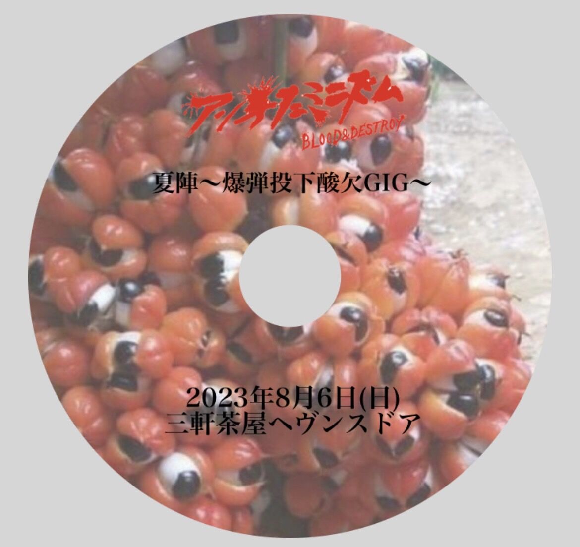 アンチフェミニズム ／ CD | KENZI SHOP Wicket House