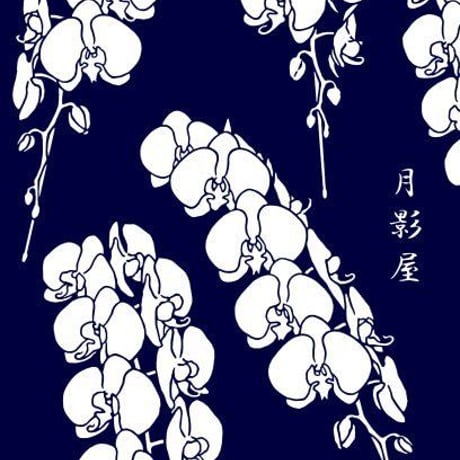 胡蝶蘭の手ぬぐい