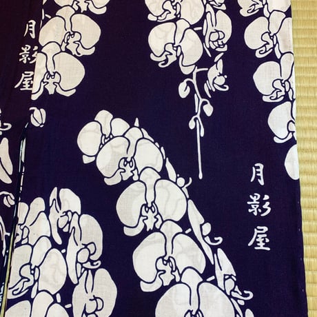 胡蝶蘭の浴衣