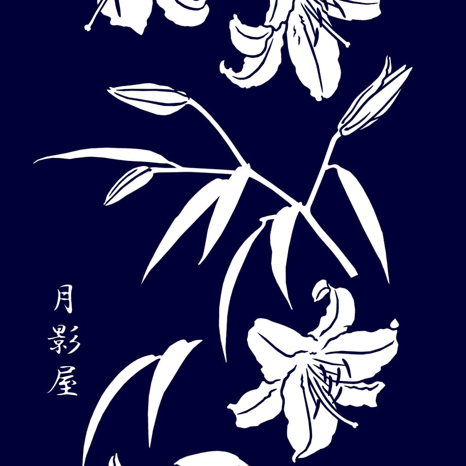 62789c8807e1637aab88ed13