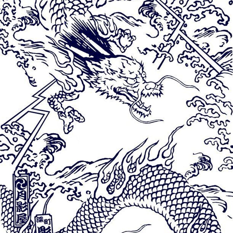 浴衣 反物 レディース メンズ 梨園染 龍 キングサイズ 綿100 % 日本製 龍の浴衣 | 月影屋