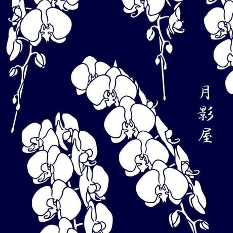 胡蝶蘭の浴衣