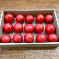 【贈答用】Coiinaフルーツトマト　15玉前後