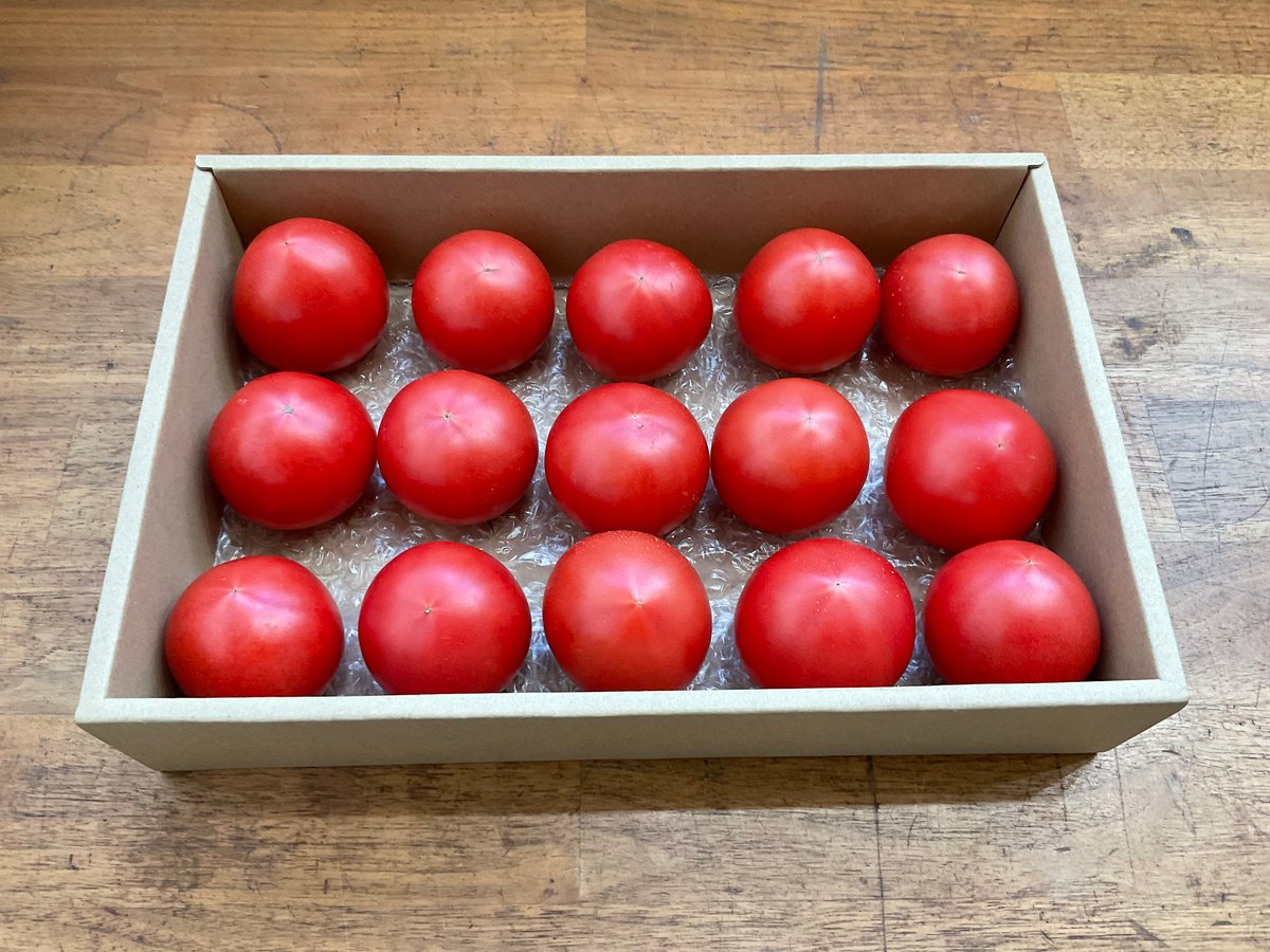 とまと購入ページ 楽天市場】【ふるさと納税】【選べる内容量】ドトマト1号 1kg-2kg