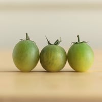 【新商品】ベジスイートCoiina 400g【糖度No1】