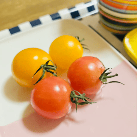 【小ロット】絶品ソルティピンクCoiina 300g【試験販売】
