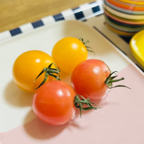 【新定番】絶品ソルティピンクCoiina 1kg【期間限定出荷】