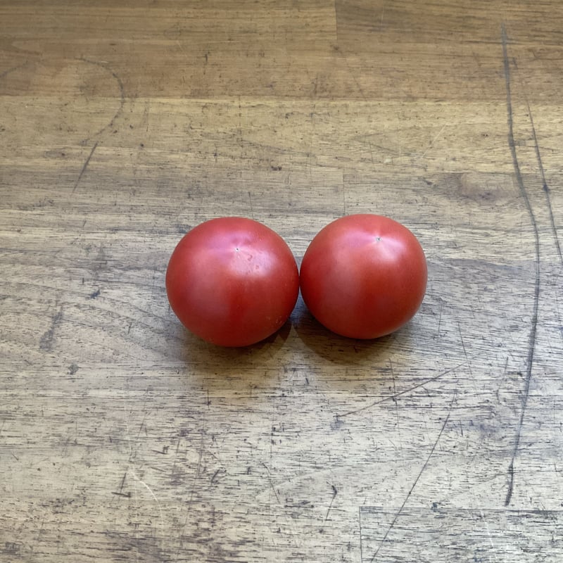 トマトページ❺ Coiinaフルーツトマト2個 | TSUJI FARM online shop