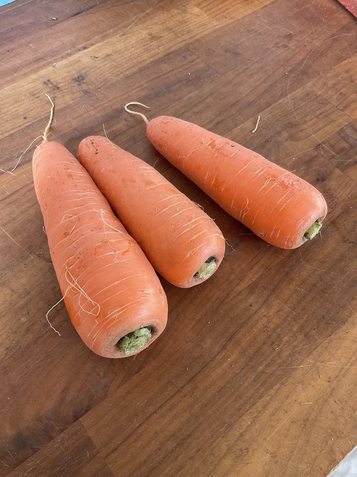 Carrots オレンジ ダウン しなら