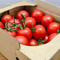 フルティカトマト 2kg 【ご家庭用】
