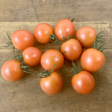 CATEGORY フルーツトマト | TSUJI FARM online shop