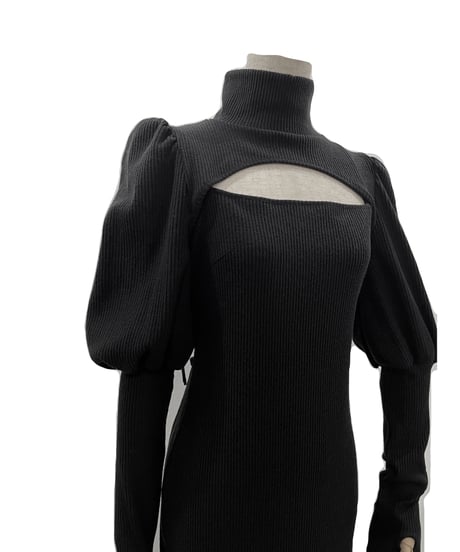 ボリュームスリーブセパレートフレアワンピース / Volume Sleeve Separate Flare One-Piece