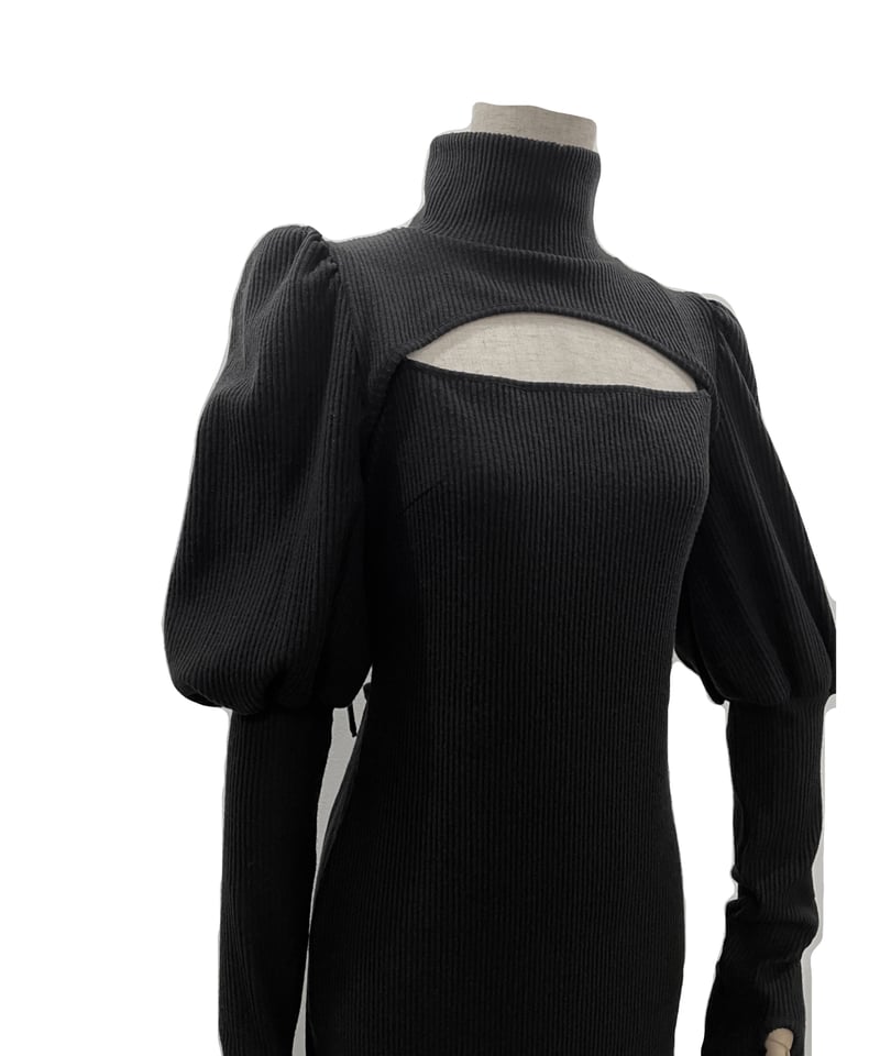 ボリュームスリーブセパレートフレアワンピース / Volume Sleeve ボリュームスリーブセパレートフレアワンピース / Volume Sleeve