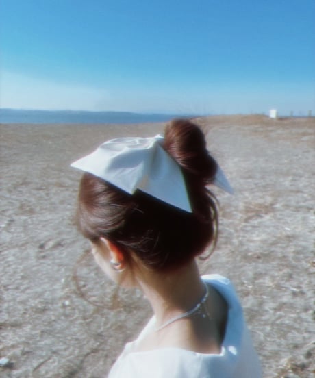 リボンバレッタ / Ribbon Hair Clip