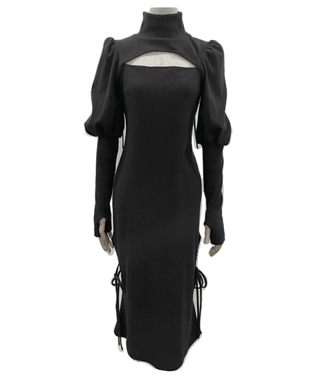 ボリュームスリーブセパレートフレアワンピース / Volume Sleeve Separate Flare One-Piece