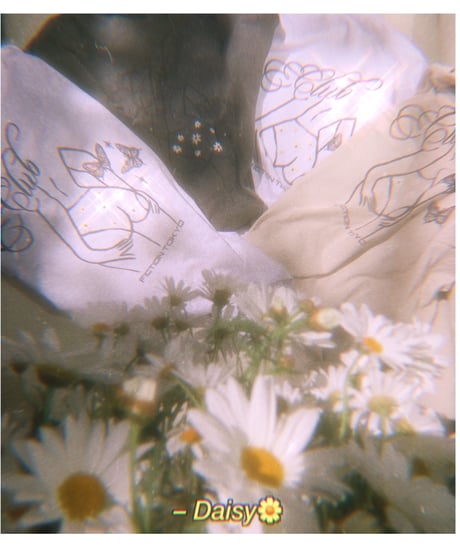 🌼Daisy🌼 Long Sleeve T/ Big T