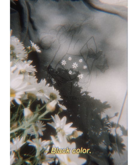 🌼Daisy🌼 Long Sleeve T/ Big T