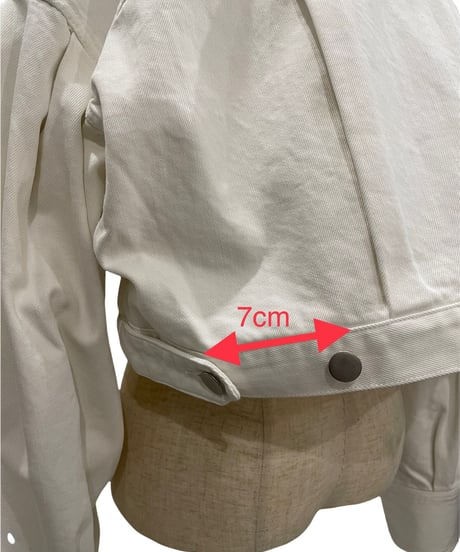 Puff Sleeve Cropped Jacket /パフスリーブクロップドジャケット