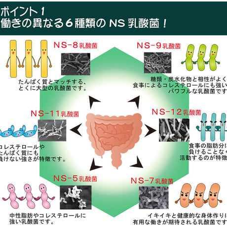 アルタイのＮＳ乳酸菌｢新NS-Dx｣