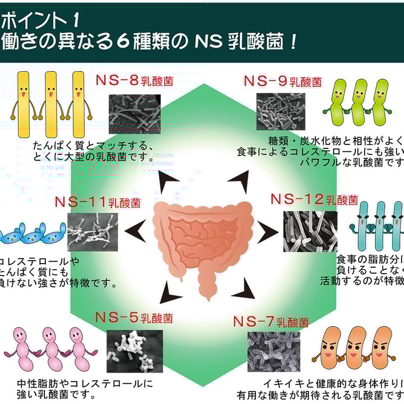 アルタイのNS乳酸菌｢新NS-Dx｣ | 佐井泌尿器科・皮フ科クリニック