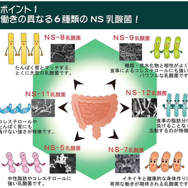 アルタイのNS乳酸菌 NS-Dx