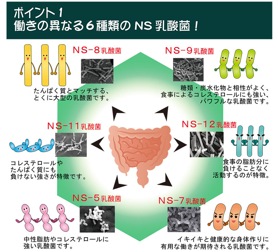 アルタイのNS乳酸菌「新NS-Dx」 | 佐井泌尿器科・皮フ科クリニック