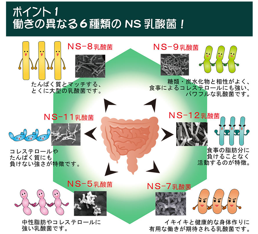 アルタイのＮＳ乳酸菌｢新NS-Dx｣ | 佐井泌尿器科・皮フ科クリニック 