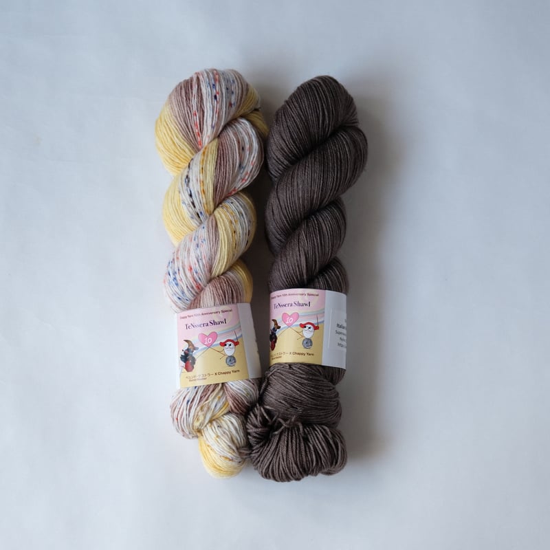 編み図：TeNssera Shawl | Bernd Kestler's Store