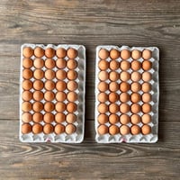 【定期便】箱買いたまご5kg（もみじ）