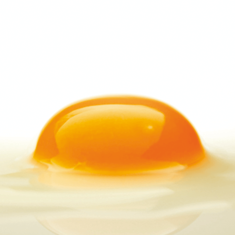 【たまご】※他の方の 購入はご遠慮ください エッグラック Egg Rack 卵ホルダー たまごケース ストッカー
