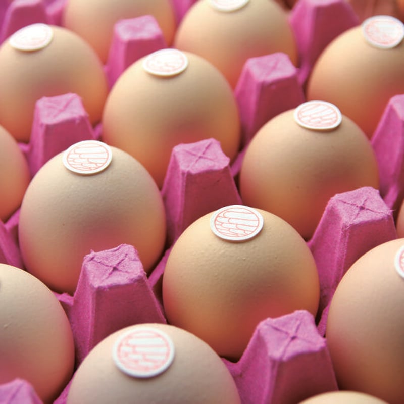 たまごお取り寄せセット（淡路島もみじ） | 北坂養鶏場