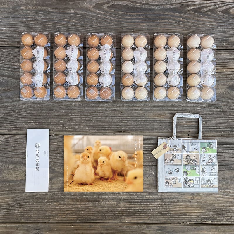 ひよこが大人になりまして初産たまごセット（もみじ/さくら混合