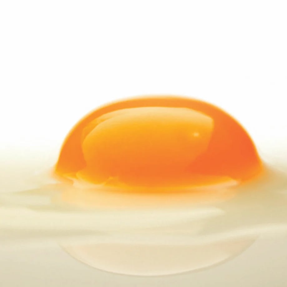 67a2ebf4afae4d0030a751ad