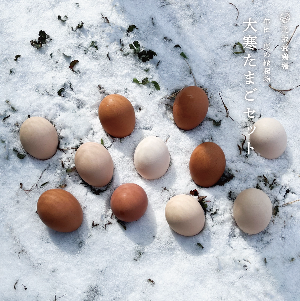 年に一度の縁起物 大寒たまごセット2025 (もみじ/さくら混合) | 北坂養鶏場