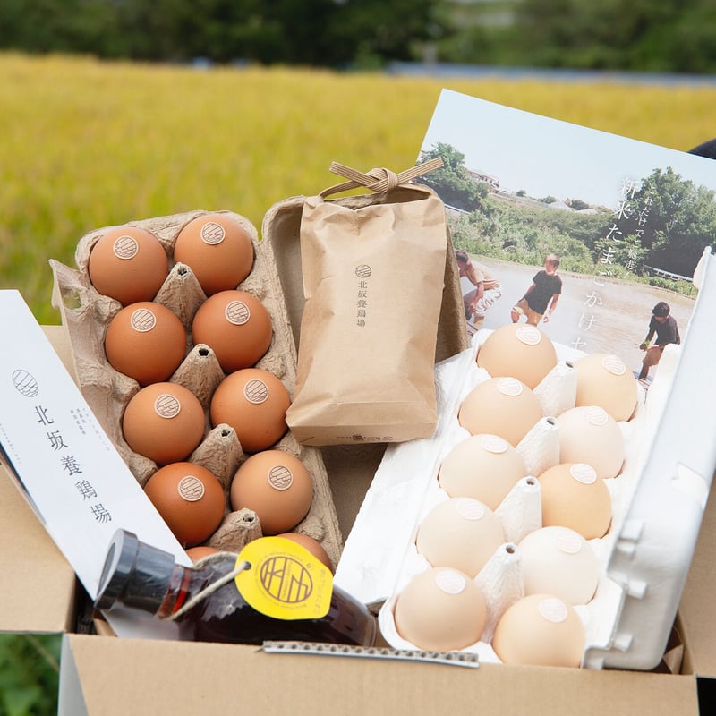 これだけでご馳走！新米たまごかけセット（淡路島もみじ/さくら