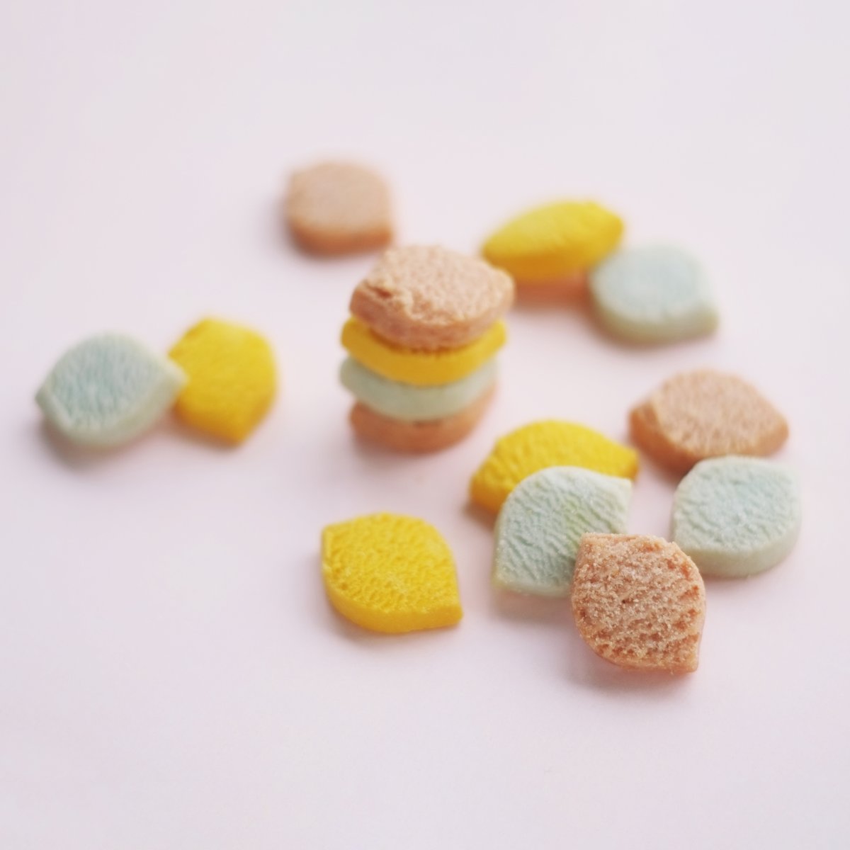 ボスケットクッキーグリーン・熨斗付きパッケージ（イラスト
