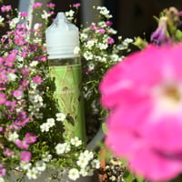 "Garden"