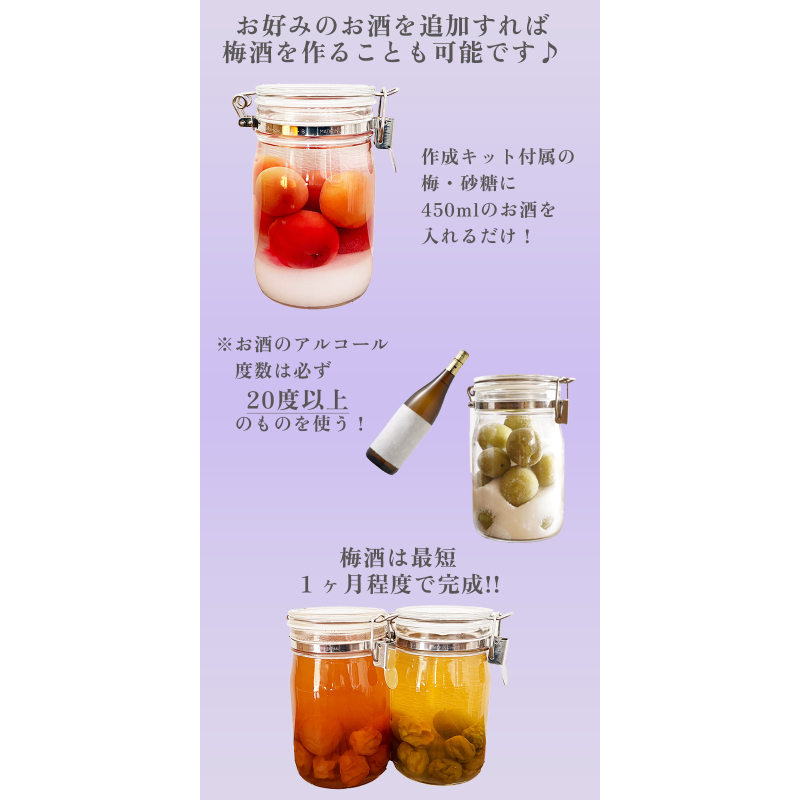 おうち時間「梅シロップ作成キット」【常陸乃梅露茜】 | 吉田屋