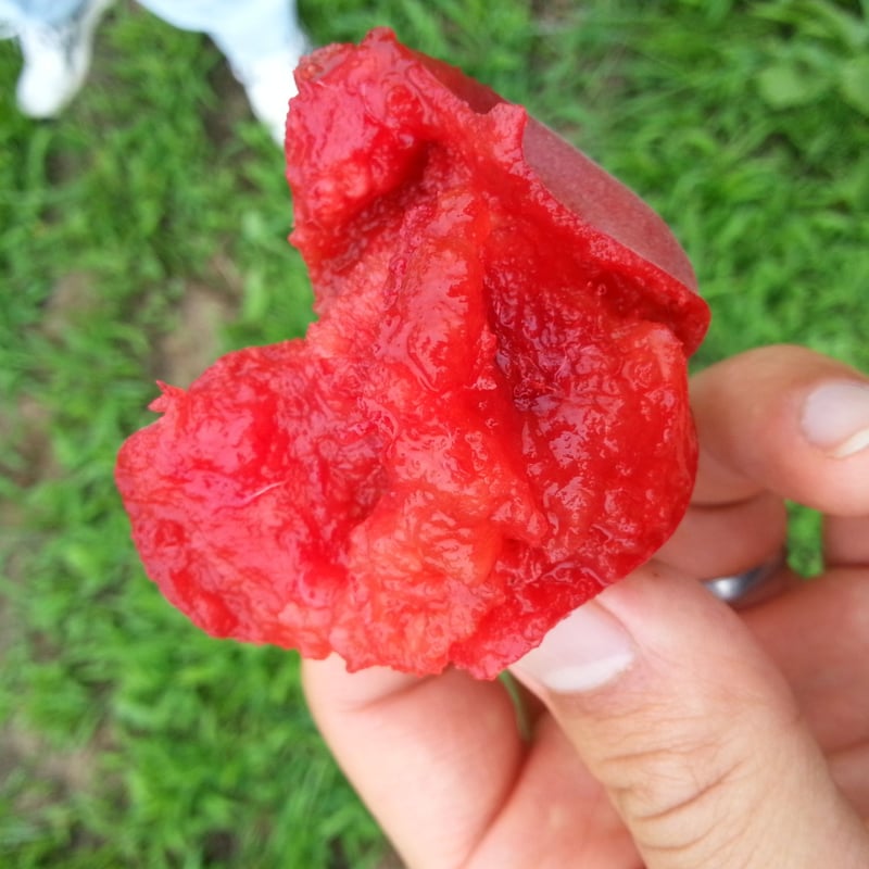 常陸乃梅シロップ「Pure Sweet」露茜 小パック 160ml | 吉田屋