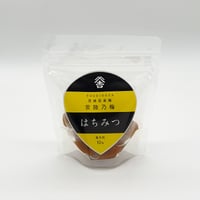 常陸乃梅梅干し　はちみつ　100g