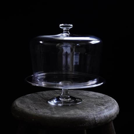 菊地大護　8.  comport (M)