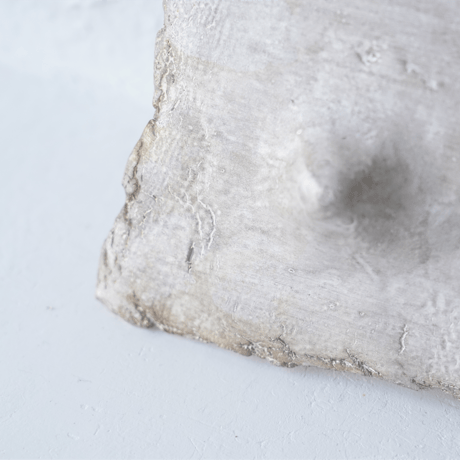 野田里美　銀樹三つ足長板皿　G