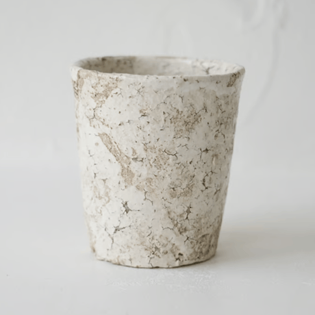 CATEGORY 櫻井美奈子 | JIBITA