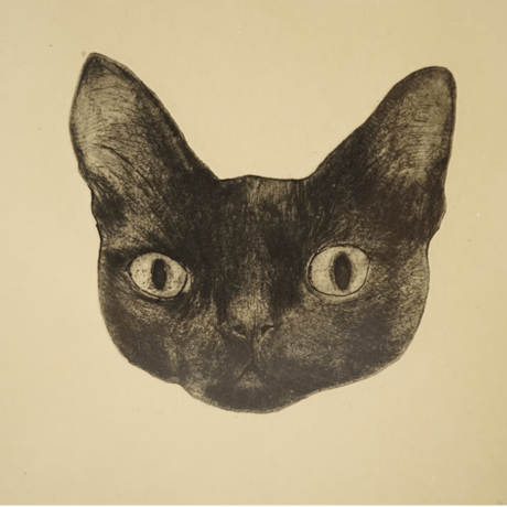古屋郁　銅版画　8「猫顔」　ed.1/7