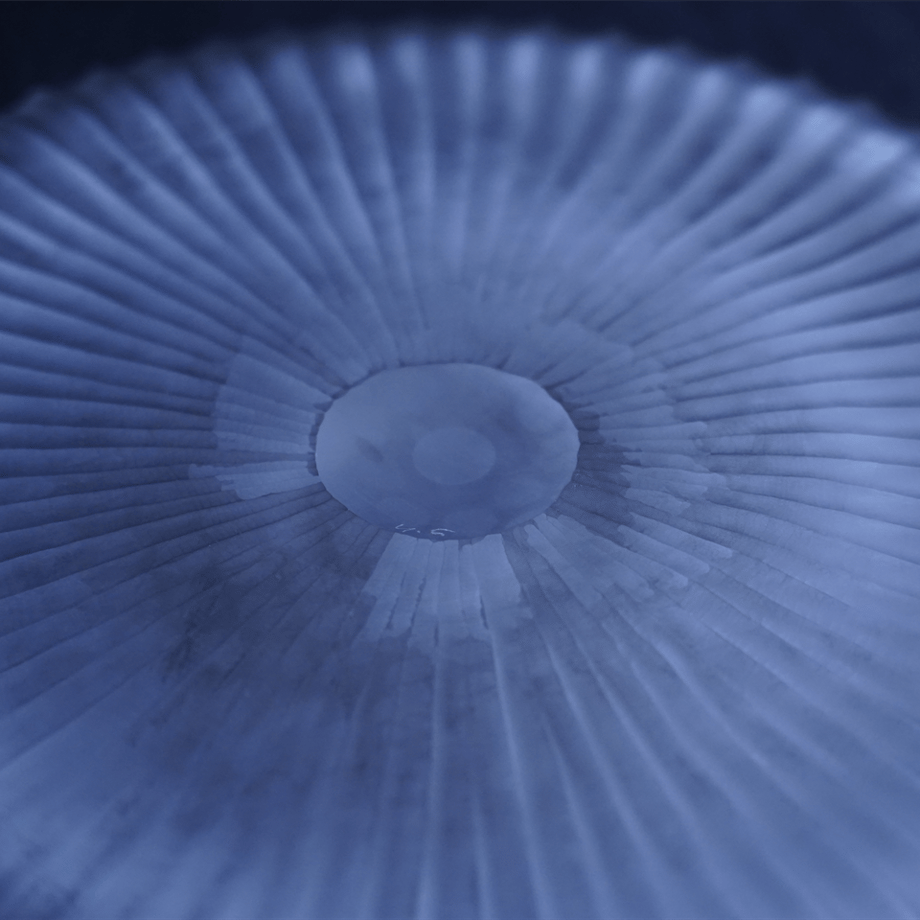 68a426216c3f1e4492b0d136