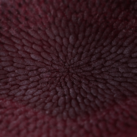 ミウラユリナ　N　槌目花皿　L　red