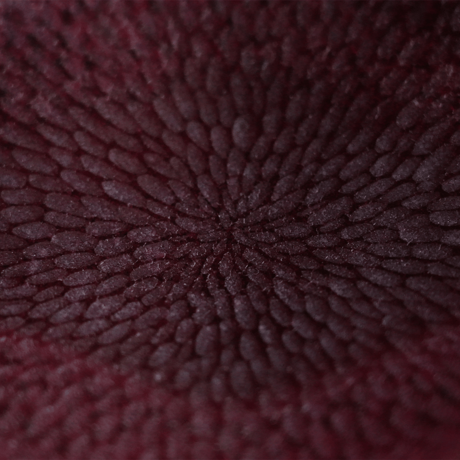 66961b38e0d478002fa69ee2