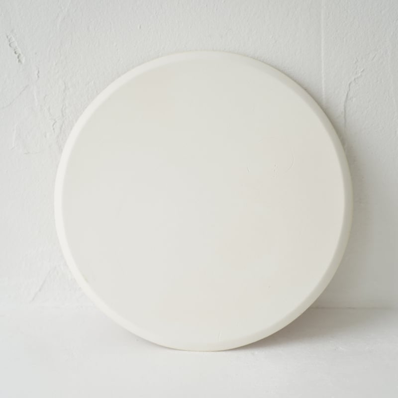 NO.57-B 岩崎龍二 Φ24.7㎝ フラットプレート 椿 | JIBITA