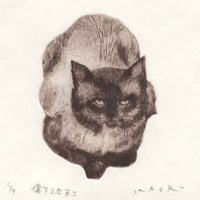 古屋郁　銅版画　32「偉そうなネコ」　ed.1/7
